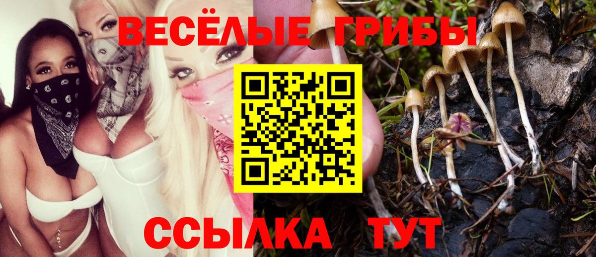 Псилоцибиновые грибы прущие грибы  Галлюциногенные грибы мухоморы  Вход с VPN  Арсеньев 